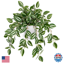 Briful 16" Artificial Potted Watermelon Peperomia Plant, Faux Silk, Indoor - $39.21