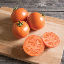 50 Seeds Bhn 871 Tomato Juicy Tomatoe Vegetable Edible Food Usa Seller - $9.32