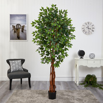 6.5 Super Deluxe Ficus Artificial Tree with Natural Trunk - £213.30 GBP