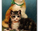 Adorable Pair of Cats Big Eyes Bell Collar 1910 DB Postcard Q19 - $7.87
