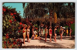 Weeki Wachee Mermaids Florida Postcard Ladies In Swim Suits Gift Shop Curt Teich - £9.84 GBP