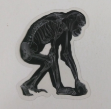 Ape X-Ray Transparent Sticker 2.25&quot; x 1.78&quot; (AW) - $1.64