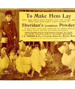 Sheridans Condition Powder Hens 1897 Advertisement Victorian Agriculture... - $27.41 CAD