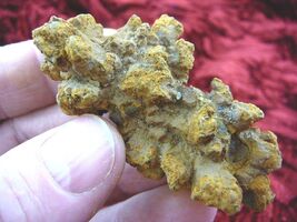 Item image 1 image 1