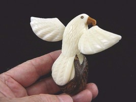 TNE-BIR-EA-46A) white American Bald Eagle bird eagles TAGUA NUT figurine carving - £21.98 GBP