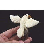 TNE-BIR-EA-46A) white American Bald Eagle bird eagles TAGUA NUT figurine... - $38.12 CAD