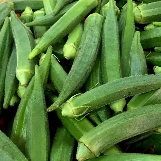 Okra Clemson Spineless Vegetable NON GMO 50 Seeds - £7.55 GBP
