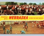 Dual View Banner Greetings From Nebraska NE Cowboys UNP Chrome Postcard P1 - $4.90