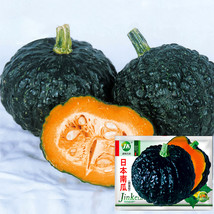 Japanese Black Pumpkin Seeds Fresh Garden - $6.98