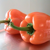 10 Bell Peppers Seeds Mixed Colors Red Green Yellow Orange New Fresh US ... - $4.80