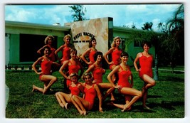 Postcard Red Swimwear Mermaids Pose Weeki Wachee Florida Retro Unused Dexter - $10.80