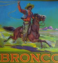 Bronco Western Cowboy Horse Lasso Fruit Crate Label Vintage Original 1930's - $12.55