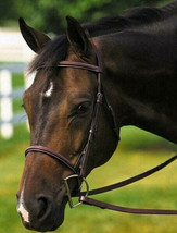 HDR English Pro Plain Raised Leather Warmblood Large Horse Bridle w/ Lac... - £63.13 GBP