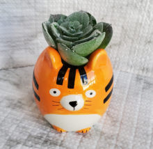 Tiger Animal Planter with Faux Succulent, Orange Cat Ceramic Plant Pot