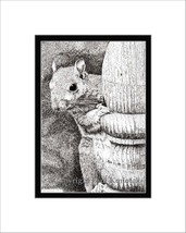 Squirrel Pen and Ink Print - $24.00