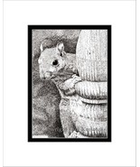Squirrel Pen and Ink Print - $27.00