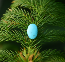 AAA+ Natural Turquoise Gemstone, Oval Shape Turquoise, Jewelry Making Ge... - €11,22 EUR