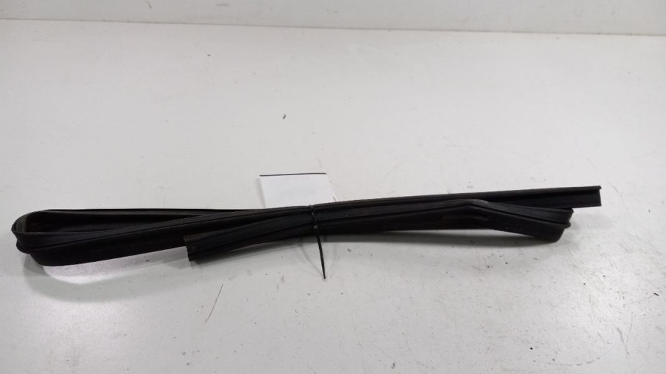 Dodge Journey Door Glass Window Seal Rubber Left Rear Back 2012 2013 201... - $34.96