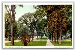 Main Street View Williamstown MA UNP Detroit Publishing DB Postcard C19 - £4.87 GBP