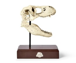 Jurassic World 9x8 Inch Tyrannosaurus Rex Skull Resin Replica - $70.00