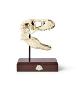 Jurassic World 9x8 Inch Tyrannosaurus Rex Skull Resin Replica - £55.64 GBP