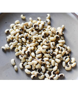 LKS Black Eyed Pea Cowpea Seeds 40 Organic Heat Tolerant Home Garden - $229.82 MXN
