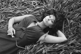 Sophia Loren Sexy Cleavage Lying On Grass 18x24 Poster - $23.99