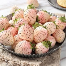 HGBO 100 Seeds White Strawberry Seeds Pineberry Hula Berry Alpine Berry Containe - £6.52 GBP