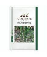 Plant Bambusa Multiplex for Qin Si Bamboo - 30 PCS Seeds - €11,11 EUR
