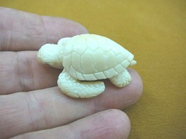 (tb-turt-21) Sea Turtle TAGUA NUT palm figurine Bali carving coral reef turtles - £28.01 GBP