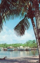 Florida Yacht Basin Unposted Postcard Vintage Dexter Press - £9.70 GBP