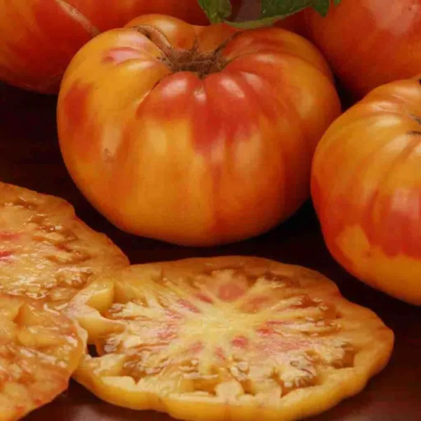 Tomato Big Rainbow Large Slicing Indeterminate Heirloom Non-Gmo 30 Seeds... - $10.96