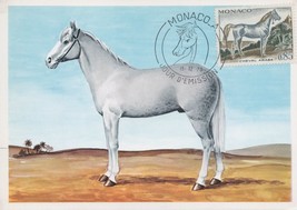 Monaco 787 Used Maximum Card Arabian Horses Zayix Stamps 0125M0416 - $4.50