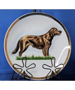 Setter Dog Vintage Decorative Ceramic Plate Gold Rim Made in Japan - £6.57 GBP