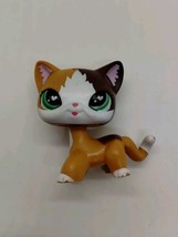Littlest Pet Shop Cat Shorthair -LPS OOAK? - £11.64 GBP
