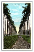 Avenue of Royal Palms Havana Cuba UNP WB Postcard I20 - £1.52 GBP