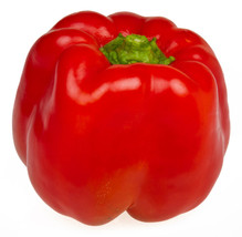 20 SEEDS BIG RED SWEET PEPPER QUICK GROW HEIRLOOM SEEDS TRANSFORM SPACES - $8.35