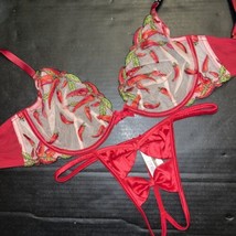 Victoria&#39;s Secret 32DDD,34B,34C,34DD Bra Set S Thong Red Chili Peppers Embroider - £63.15 GBP