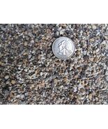 5 quarts Inorganic Soil Mix for Long Lasting Bonsai Soil - Pumice,Turfac... - $8.90