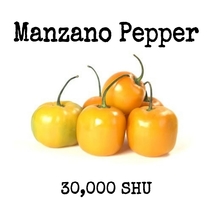 Manzano Pepper - 20 Seeds - £3.14 GBP
