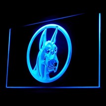 210031B Great Dane Dog Healthy Pet Food Littlest Features Toppers LED Light Sign - £17.68 GBP
