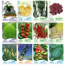 12 Packs Seeds Asparagus Fern Golden String Pumpkin Long White Eggplants Tomato  - $22.94