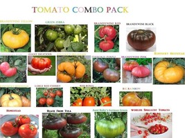 MBK Tomato Variety List Big Beefsteak Yellow Pink White Brandywine Cherr... - $10.50