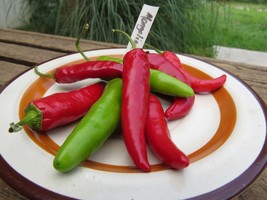 Mongolian Hot Pepper - $4.95