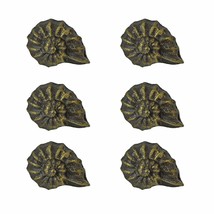 Rustic Cast Iron Nautilus Shell Drawer Pull Cabinet Knob Nautical Décor ... - £23.48 GBP