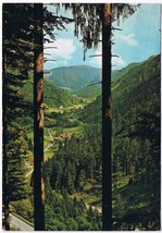 Postcard Schwartzwald Germany Black Forest St Wilhelmer Tal - $3.95