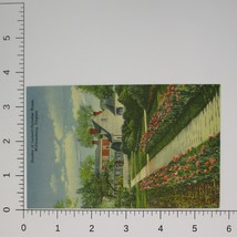 Williamsburg Virginia Linen Postcard curt teich Ludwell-Paradise House Garden - £4.72 GBP