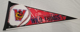 Washington Wild Things Baseball 12x30 Pennant - $19.79