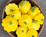 15 Patty Pan Scallop Summer Squash Seeds Fast Shipping - £7.20 GBP