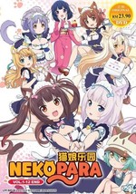 DVD Anime NEKOPARA Complete TV Series (1-12 End) English Dub (All Region) - £14.73 GBP